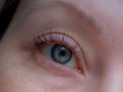 Curling Mascara on Once I Have Curled My Lashes You Can Start To See Them     See That